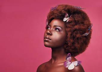 Image showing Creative, cosmetic and woman with butterflies in her hair and a makeup, natural and elegant face. Art, fantasy and young African female model posing with beautiful insects by a pink studio background