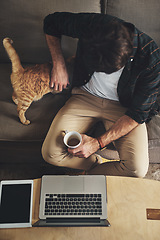 Image showing Laptop, coffee and man with cat on sofa to bond, relax and shopping online with credit card. Computer, animal and top view of male person rubbing kitten pet with care and drink latte in living room.