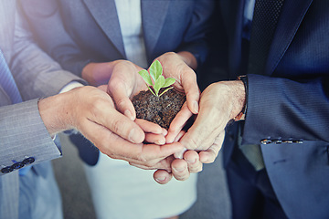 Image showing Business, plants in group hands for eco environment growth and zoom closeup. Teamwork or collaboration, sustainability in green startup project and corporate people holding soil for earth day