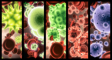 Image showing Virus, bacteria and cell structure of disease closeup in series for medical investigation or research. Covid, particle and healthcare with a microscope view of living molecule samples for biology