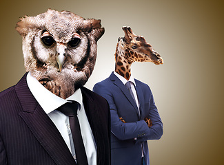 Image showing Business people, corporate and animal heads with success, career and professional with formalwear. Owl, giraffe and employees with weird faces, bizarre and weird isolated against a studio background