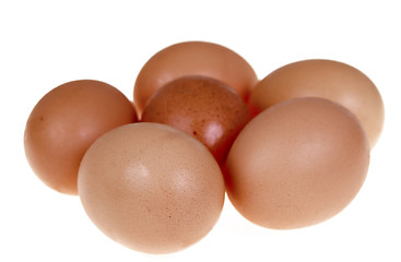 Image showing Six fresh egg