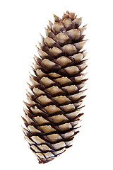 Image showing Cone