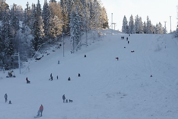 Image showing Sledging hill