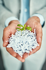 Image showing Businessman, hands or plant for agriculture recycling, sustainability growth or farming investment. Shredded paper, recycle closeup or worker hand holding small plants in eco friendly startup company