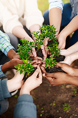 Image showing Teamwork, hands and group with plants for sustainability, eco friendly or ecology. Collaboration, people and leaves in nature, growth in soil or cooperation for earth day, community together and care