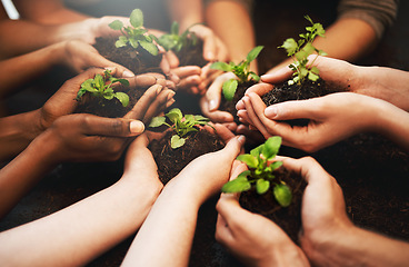 Image showing Hands together, plant soil and nature growth with sustainability and community work. People, green leaf and environment project for gardening, farming and sustainable eco dirt for agriculture