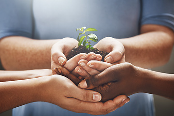 Image showing Plant, hands and group of people gardening, agriculture and business growth or collaboration, support and teamwork. Palm, sapling soil and diversity woman, man or community agro, farming or earth day