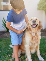 Image showing Brushing fur, care and dog with a child in a garden for cleaning, responsibility and pet grooming. Love, young and a boy kid with a brush for the hair of a labrador in a backyard for routine