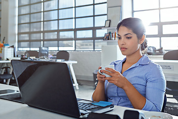 Image showing Administration focus, laptop and woman reading financial savings, digital finance budget or accounting review. Web database, coffee drink or accountant working on data analysis of feedback statistics