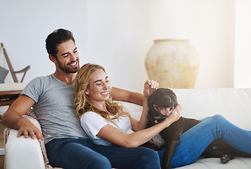 Image showing Dog, relax or happy couple with a pet on house sofa bonding or hugging with trust or loyalty together. Smile, animal lovers or woman enjoys playing with cute pitbull puppy with care on couch at home