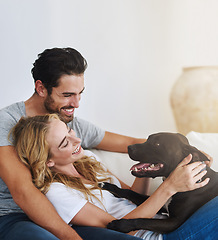 Image showing Love, relax or happy couple with a dog on house sofa bonding or laughing with trust or loyalty together. Pet, animal lovers or woman enjoys playing with cute pitbull puppy with care on couch at home