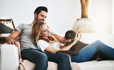 Image showing Smile, relax or happy couple with a dog on house sofa bonding or hugging with trust or loyalty together. Pet, animal lovers or woman enjoys playing with cute pitbull puppy with care on couch at home