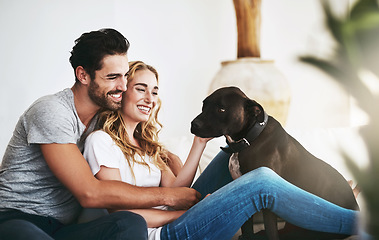 Image showing Love, relax or happy couple with a pet on house sofa bonding or hugging with trust or loyalty together. Dog, animal lovers or woman enjoys playing with smile or cute pitbull puppy with care on couch