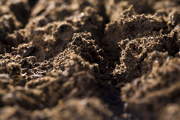 Image showing ploughed brown soil