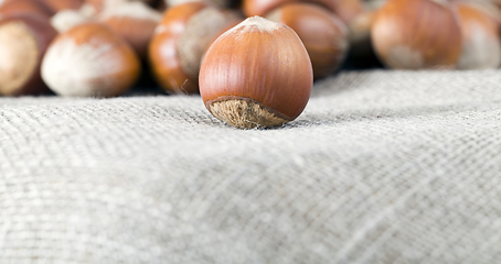 Image showing Hazelnuts covered in shell