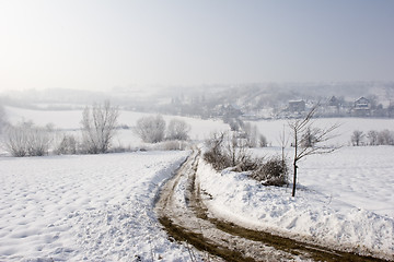 Image showing misty winter view of farm track in the snow