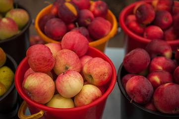 Image showing Red ripe apples in bucket.