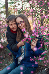 Image showing Blooming maralnik rhododendron in Altai mountains