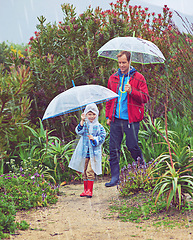 Image showing walking, umbrella and nature with a father and child outdoor for family fun, happiness and quality time. Man and boy kid on adventure with water drops, freedom and play for learning in a garden