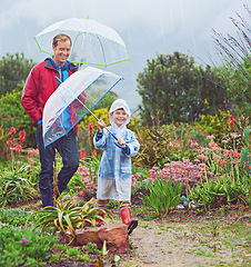 Image showing Rain, umbrella and nature with a father and child outdoor for family fun, happiness and quality time. Happy man and kid walking on adventure with water drops, freedom and play for learning in garden