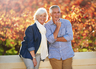 Image showing Portrait, autumn and senior couple together in nature, park or vineyard or happy, marriage in retirement or thinking, love or countryside happiness. Elderly people, smiling in fall and bokeh