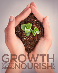 Image showing Hands, plant and growth with words for motivation, blossom and leaves in soil for sustainability. Woman, holding dirt or earth for seedling, accountability or eco friendly mindset for sustainable ngo