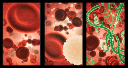 Image showing Covid, blood and cell structure of disease closeup in series for medical investigation or research. Virus, bacteria and healthcare with a microscope view of living molecule samples for biology