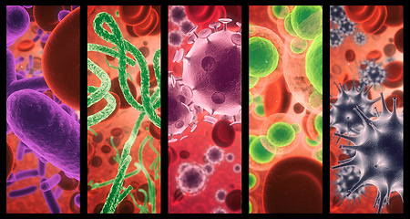 Image showing Virus, infection and cell structure of disease closeup in series for medical investigation or research. Covid, bacteria and healthcare with a microscope view of living molecule samples for biology