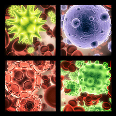 Image showing Virus, bacteria and molecule structure of disease closeup in series for medical investigation or research. Covid, particle and healthcare with a microscope view of living cell samples for biology