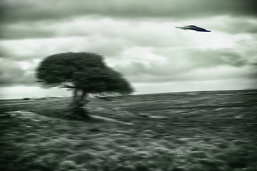 Image showing UFO, spaceship and nature for alien invasion, fantasy and science fiction with tree in field. Earth, aliens or environment, landscape and countryside with extraterrestrial drone in motion blur