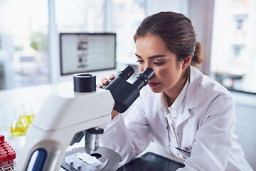 Image showing Research, scientist and woman with a microscope, laboratory and experiment for results, cure and healthcare. Female person, science and researcher with lab equipment, sample analysis and medicine