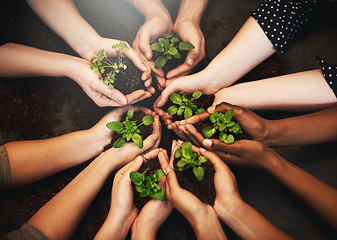 Image showing Hands together, plant soil and diversity above with sustainability and community work. People, green leaf and environment project for gardening, farming and sustainable eco dirt for agriculture