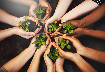Image showing Hands together, soil and plant growth with green sustainability and community work. People above, leaf and environment project for gardening, farming and sustainable eco dirt for agriculture