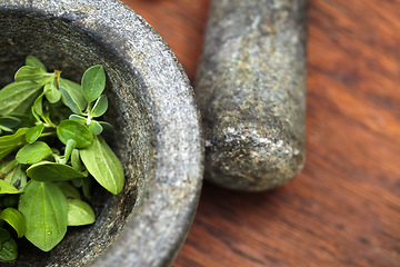 Image showing Plant cooking, mortar and pestle for herbs on table top in kitchen. Vegetables, food and equipment for crushing basil leaf, plants or spices for gourmet meal, seasoning and flavor for healthy diet.