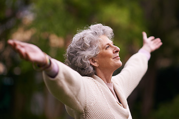 Image showing Senior, happy woman and celebrate life in nature, joy or retirement freedom outdoors. Face of elderly female smiling in happiness with arms out enjoying natural environment or vitality outside