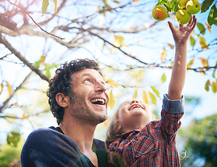 Image showing Man with girl child in garden, picking from apple tree and happy outdoor, love and family together in orchard. Father spending quality time with young daughter on farm, fruit and happiness in nature