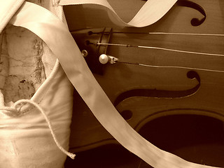 Image showing violin