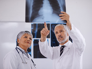 Image showing Senior team of doctors, check xray for surgery with people in radiology and cardiovascular health at clinic. Lung scan, old man and woman surgeon collaboration with assessment and problem solving