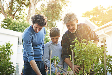 Image showing A grandfather, father and boy working in garden with family, generations and nature with plants in home backyard. Bonding, love and care with helping men and child outdoor gardening with environment