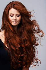 Image showing Wind in hair, ginger and face of woman in studio for keratin treatment, wellness and growth on gray background. Beauty, hairdresser mockup and female model with shine, healthy and natural hairstyle