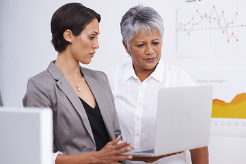 Image showing Teamwork, laptop and business women with data analysis, company growth and analytics review for online research. Charts, graphs and statistics of digital employees or people with focus on computer