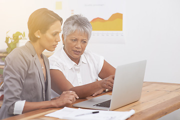 Image showing Planning, teamwork and business women on laptop for digital analytics, data analysis or review online report. Professional people reading results on computer with focus, solution or problem solving