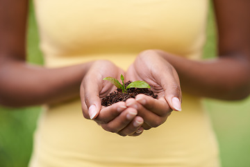Image showing Soil in hands of woman, leaves and ecology with growth of environment, nature and sustainability with life. Seedling, development and eco friendly, hope and new beginning or start with agriculture