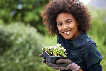 Image showing Black woman is gardening, plant and smile in portrait, botany mockup and environment with young gardener and flowers. Happy female person is outdoor with green fingers, growth and plants in garden