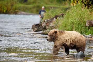 Image showing Bear and a fisherman