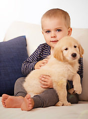 Image showing Portrait, golden retriever or a dog and happy child together for love, care and development. Face of a cute kid and animal, puppy or pet playing as friends on the home sofa or living room to relax