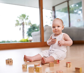 Image showing Portrait, baby and building blocks toy on a floor for fun, learning and playing in his home. Face, child and little boy with creative, alphabet and puzzle game in a living room, curious and sweet