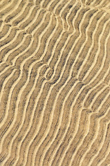 Image showing Sand ripples in shallow water