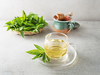 Image showing Mint tea